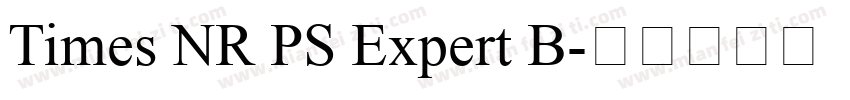 Times NR PS Expert B字体转换